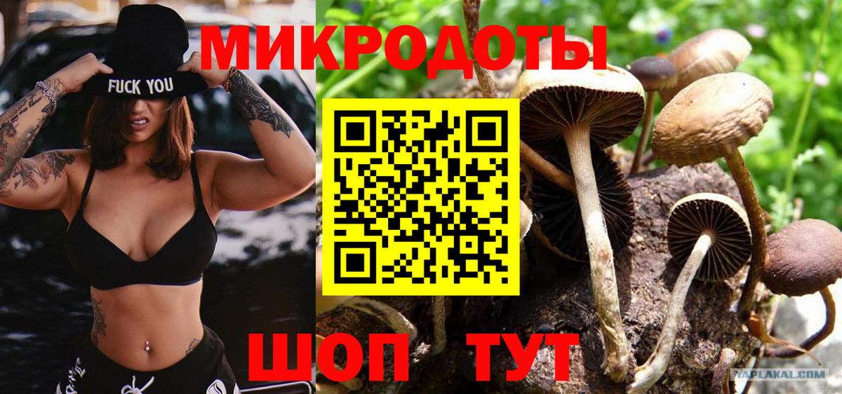 Псилоцибиновые грибы прущие грибы Клин