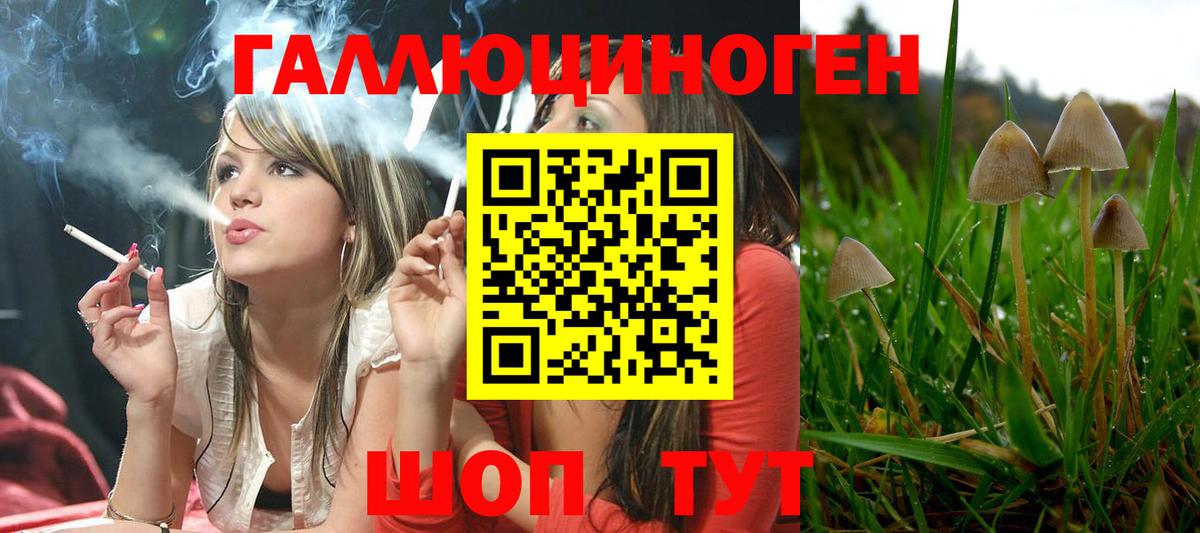 Клин  Псилоцибиновые грибы ЛСД  Вход с VPN 